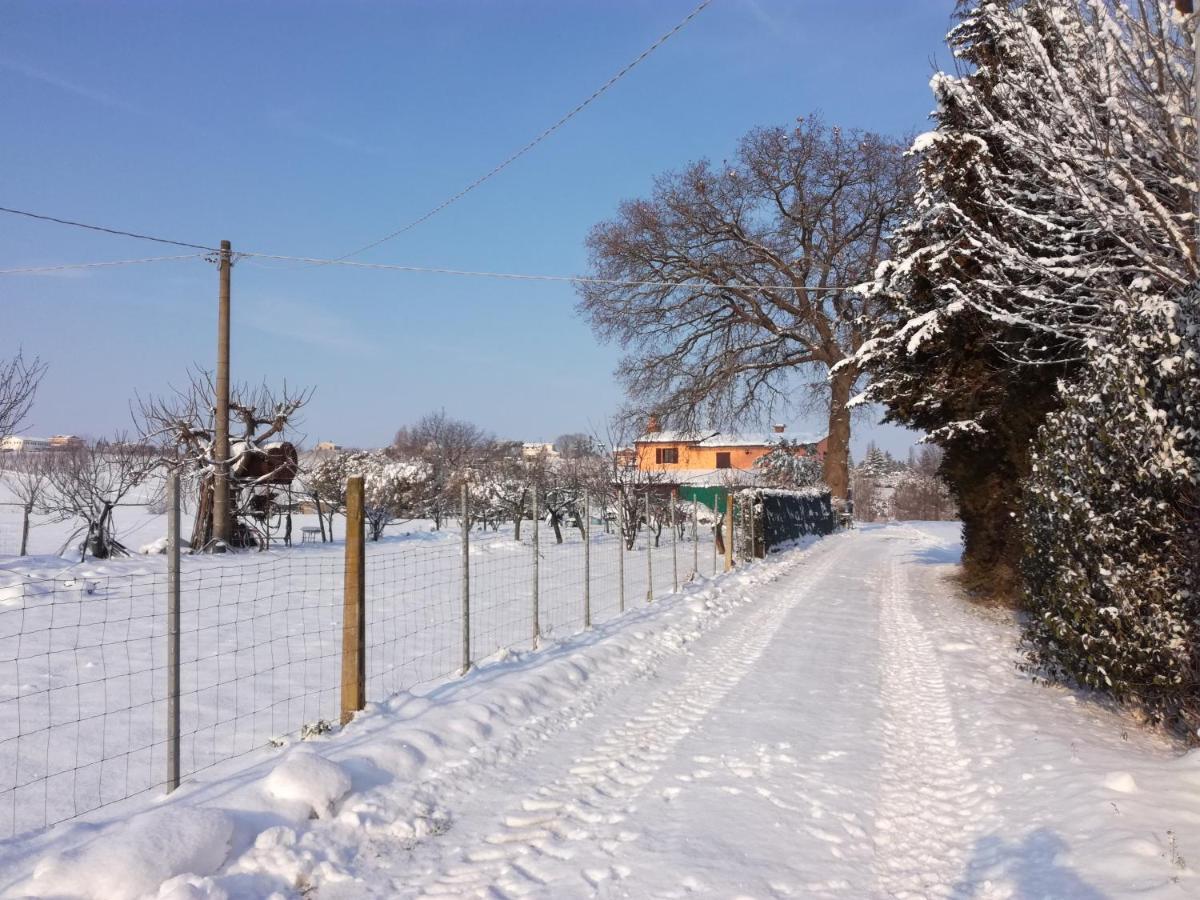 Country Rooms & Suite La Quercia Coriano Exterior photo