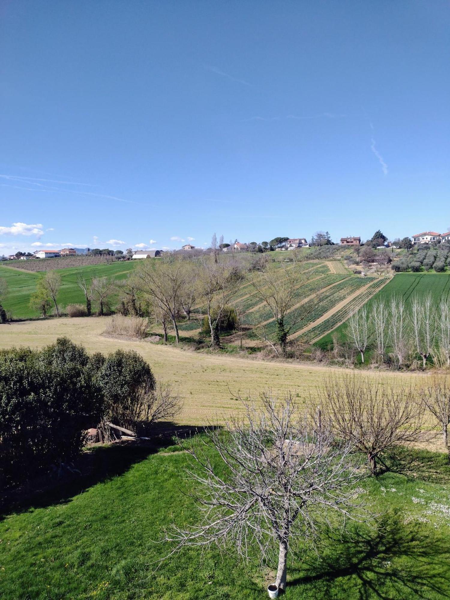 Country Rooms & Suite La Quercia Coriano Exterior photo