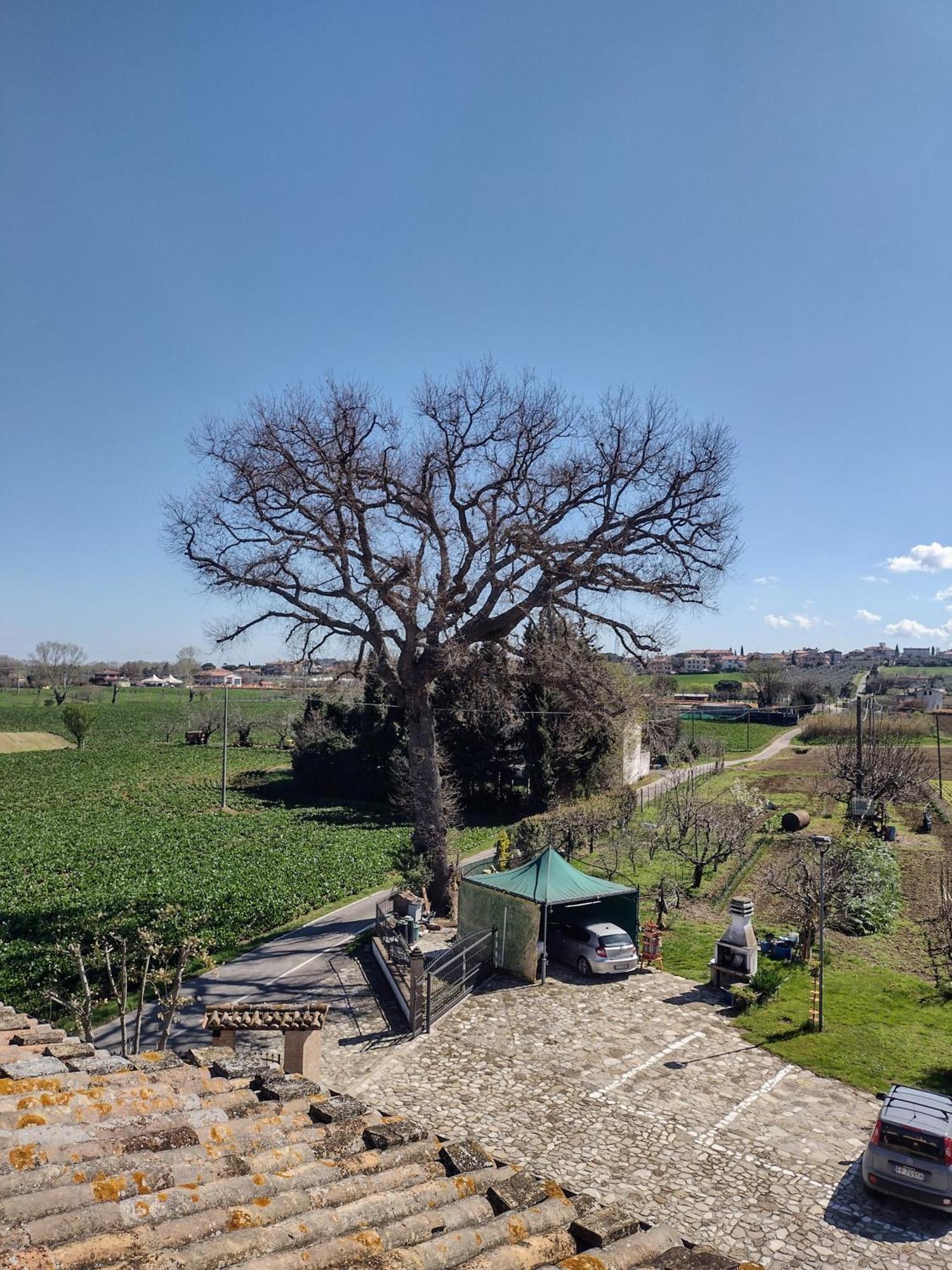 Country Rooms & Suite La Quercia Coriano Exterior photo